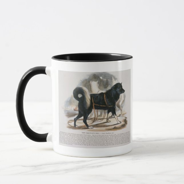 Der Esquimaux Hund (Canis familiaris) Tasse (Links)