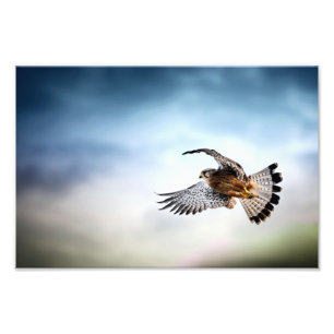 Der Falcon schießt in den Himmel Fotodruck
