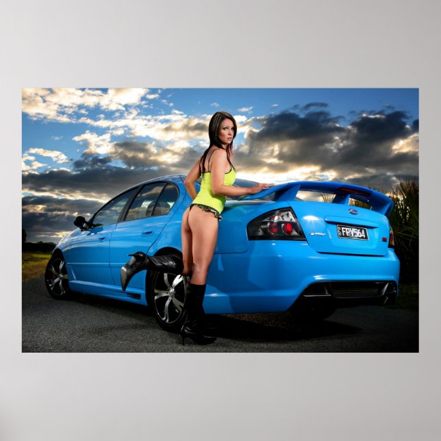 Der Falke Poster (Vorne)