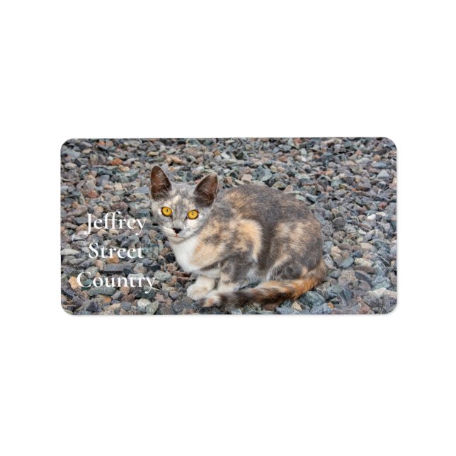 Der Fall Cat Pillow Adressaufkleber (Vorne)