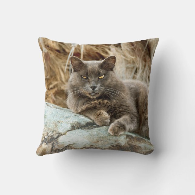 Der Fall Cat Pillow Kissen (Rückseite)