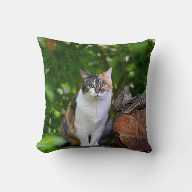 Der Fall    CatPillow Kissen (Vorderseite)