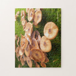 Der Fall der Pilze Puzzle