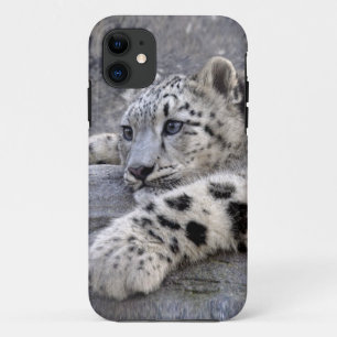 Der Fall für das abgespielte iPhone 5 Case-Mate iPhone Hülle