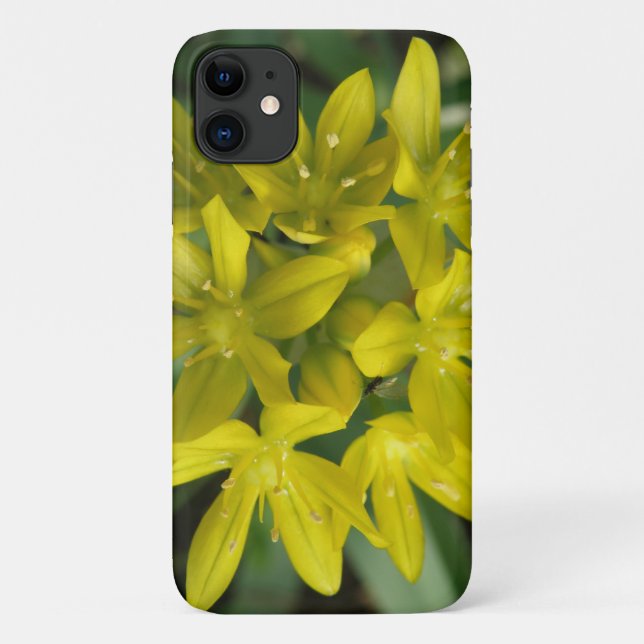 Der Fall Snow iPhone 3 Case-Mate iPhone Hülle (Rückseite)