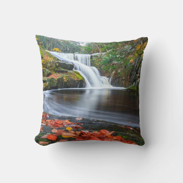 Der Fall von Ender Kissen (Vorderseite)