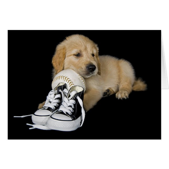 Der Fan des Sports (Vorderseite (Horizontal))