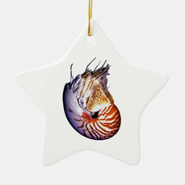 DER FANTASTISCHE NAUTILUS KERAMIKORNAMENT (Vorne)