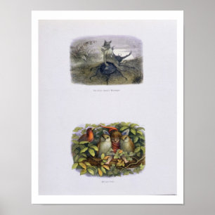 Der feenhaften Bote der Königin und Elf und Eulen, Poster