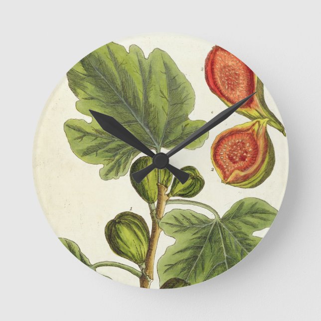 Der Feigenbaum, überziehen 125 von "einem Runde Wanduhr (Vorderseite)