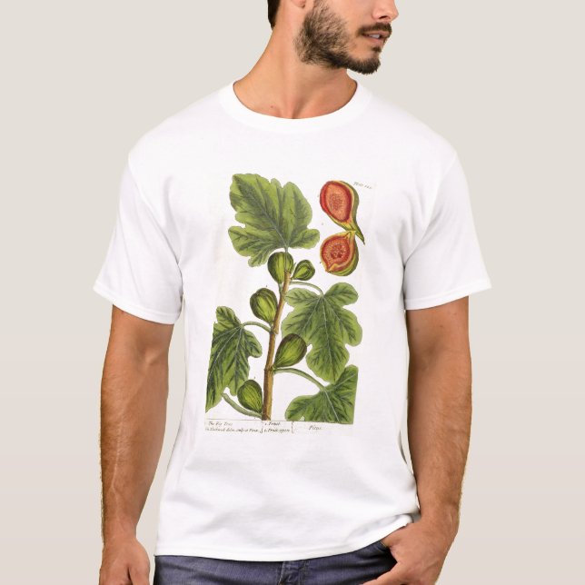 Der Feigenbaum, überziehen 125 von "einem T-Shirt (Vorderseite)