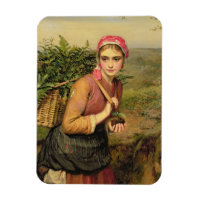 Der Fern Gatherer