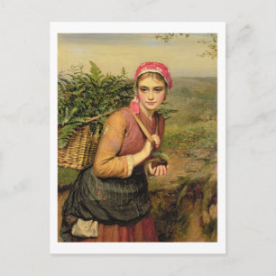 Der Fern Gatherer Postkarte