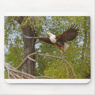 Der Fischadler fliegt, Botswasna. Mousepad