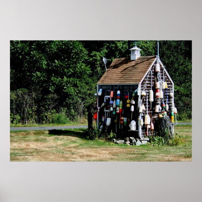 Der Fischschrei Poster (Vorne)