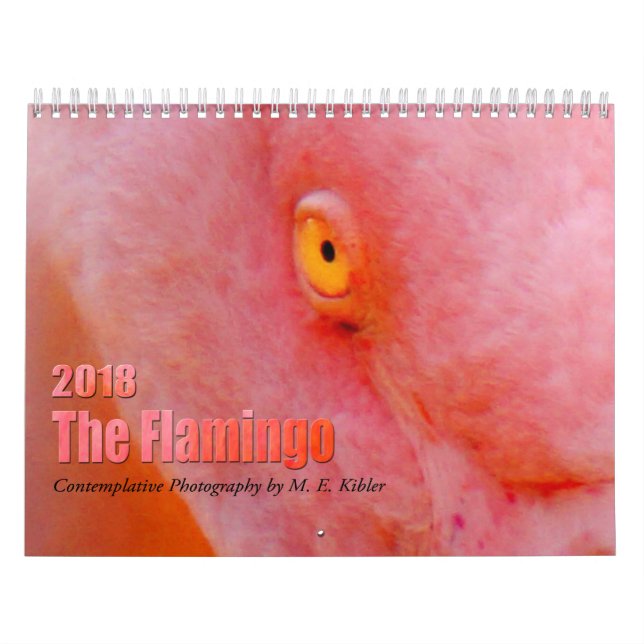 Der Flamingo - Kalender 2018 (Titelbild)