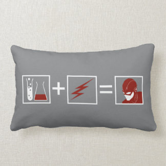 Der Flash | Flash Equation Lendenkissen