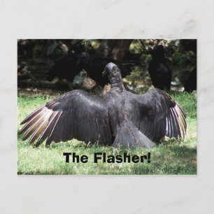 Der Flasher! Postkarte