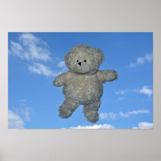Der flieger Teddybär Poster (Vorne)