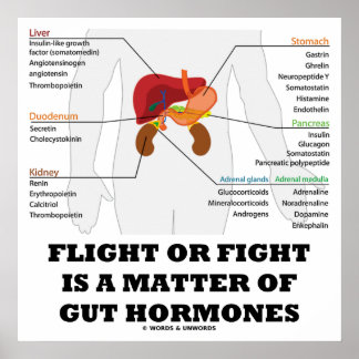 Der Flug oder der Kampf ist eine Frage von Hormone Poster