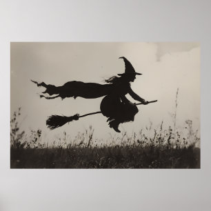 Der Flug - Silhouette über den Himmel Poster
