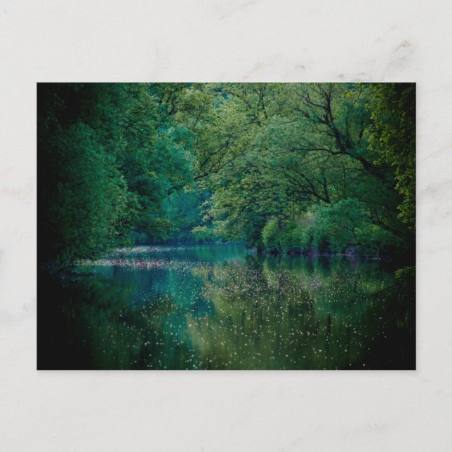 Der Fluss ・ Postkarte (Vorderseite)