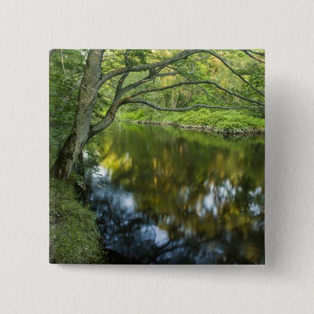 Der Fluss Taunton in Bridgewater, Button (Vorderseite)