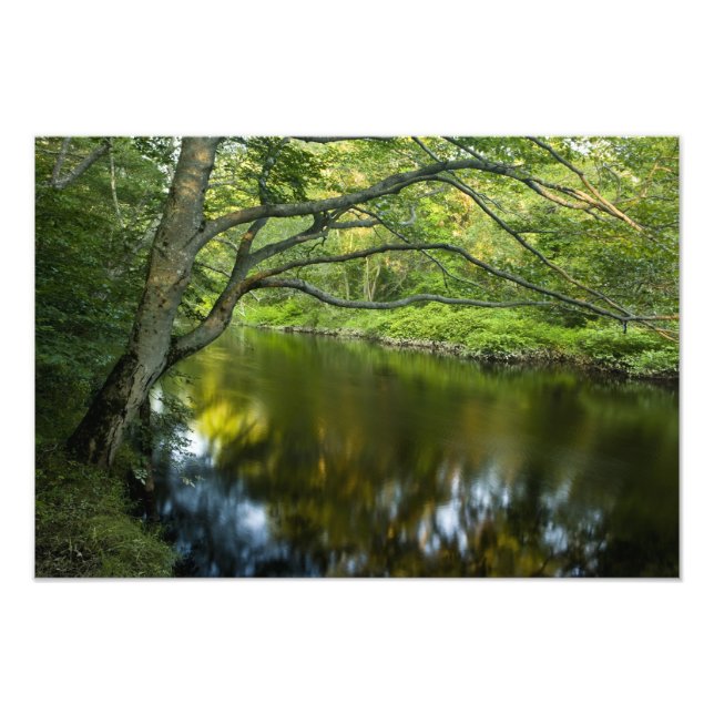 Der Fluss Taunton in Bridgewater, Fotodruck (Vorne)