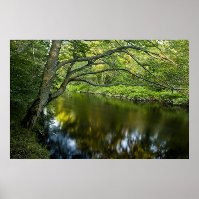 Der Fluss Taunton in Bridgewater, Poster (Vorne)