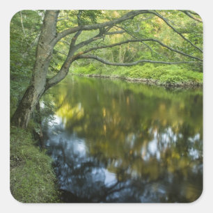 Der Fluss Taunton in Bridgewater, Quadratischer Aufkleber
