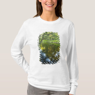 Der Fluss Taunton in Bridgewater, T-Shirt