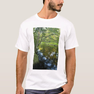 Der Fluss Taunton in Bridgewater, T-Shirt