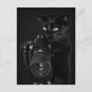Der Fotograf - Postkarte