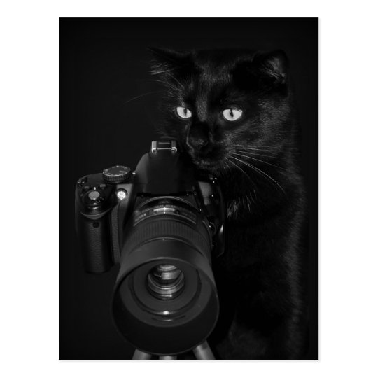 Der Fotograf - Postkarte
