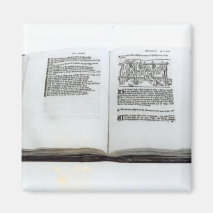 Der Fox und die Trauben Magnet