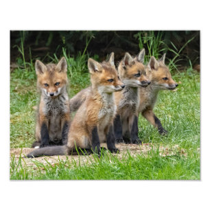 Der freie Denkfuchs Fotodruck