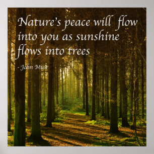 "Der Frieden der Natur wird in dich fließen" Zitat Poster