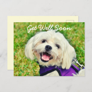 Der frisch grüne Hund und die Ermutigung werden gu Postkarte