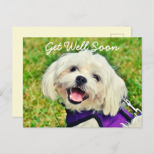 Der frisch grüne Hund und die Ermutigung werden gu Postkarte (Vorne/Hinten)