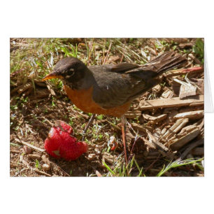Der frühe Vogel bekommt die ...