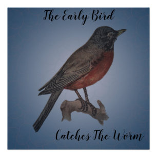 Der frühe Vogel fängt den Wurm Poster