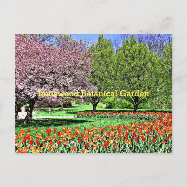 "DER FRÜHJAHR KOMMT IN DEN BOTANISCHEN GARTEN AUS  POSTKARTE (Vorderseite)