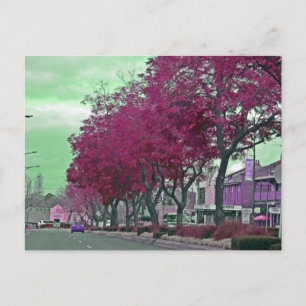 Der Frühling auf dem Lande Postkarte