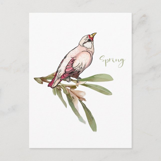 Der Frühling blüht Vögel. Schneeverfahren. Feiertagspostkarte (Vorderseite)