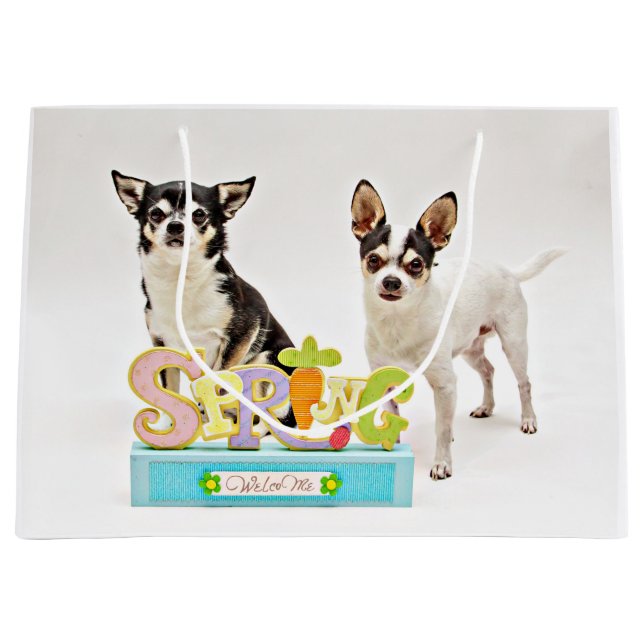 Der Frühling Chihuahuas Große Geschenktüte (Vorderseite)