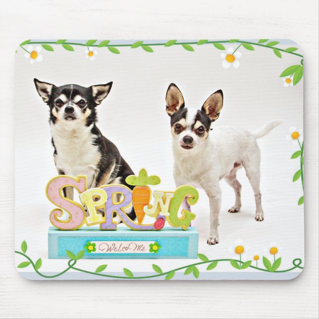 Der Frühling Chihuahuas Mousepad (Vorne)