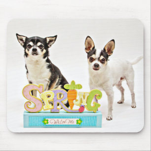 Der Frühling Chihuahuas Mousepad