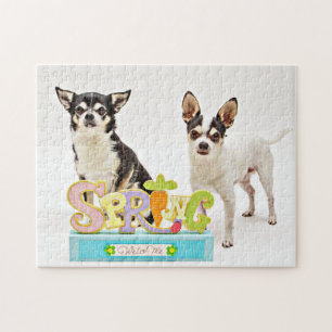 Der Frühling Chihuahuas Puzzle