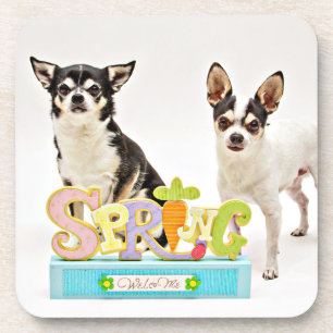 Der Frühling Chihuahuas Untersetzer