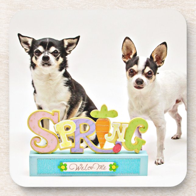 Der Frühling Chihuahuas Untersetzer (Vorderseite)